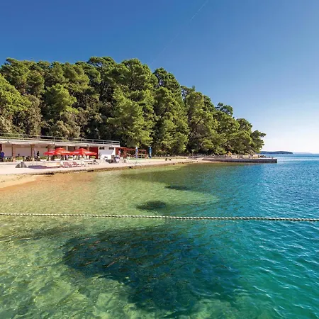 Apartmán 1 Bedroom Lovely In Palit New Translation